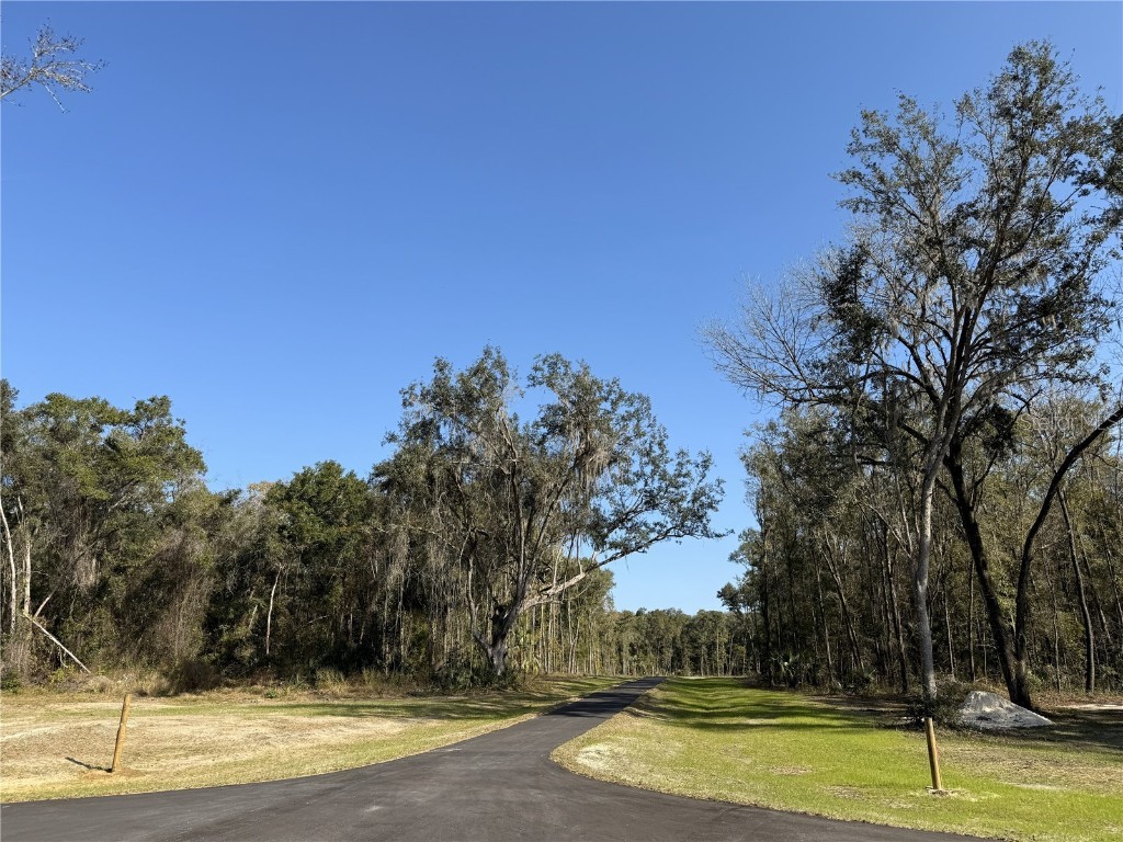 Irvine Acres #3 (10ac) W Hwy 318 Reddick FL 32686 OM715979 image8