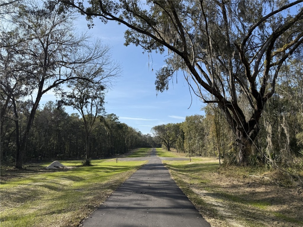 Irvine Acres #3 (10ac) W Hwy 318 Reddick FL 32686 OM715979 image9