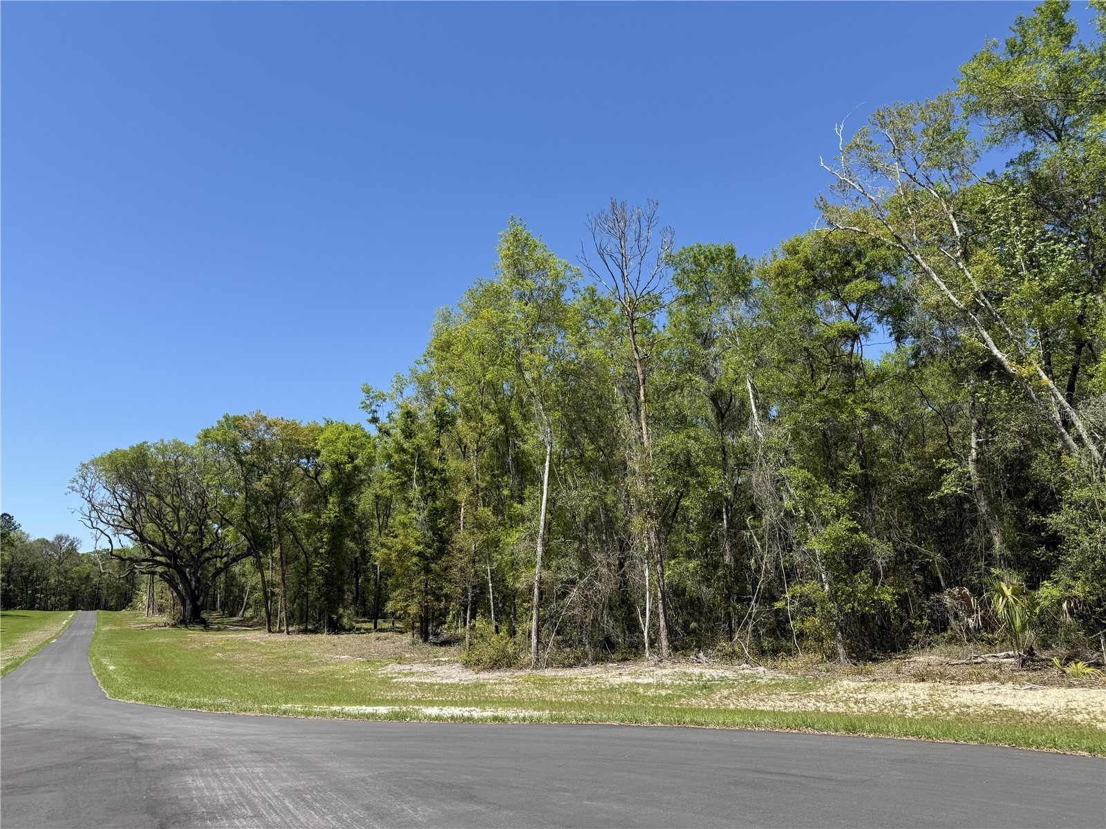 Irvine Acres #5 (13ac) W Hwy 318 Reddick FL 32686 OM726270 image2