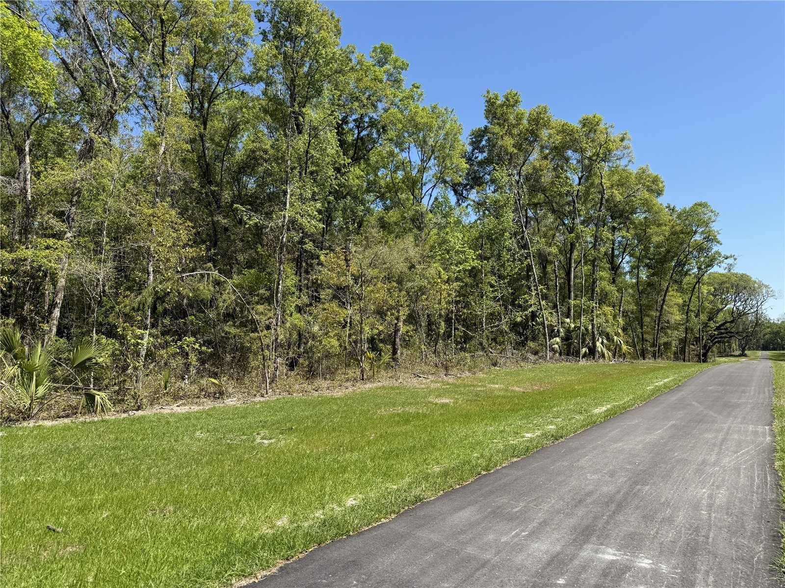 Irvine Acres #5 (13ac) W Hwy 318 Reddick FL 32686 OM726270 image3