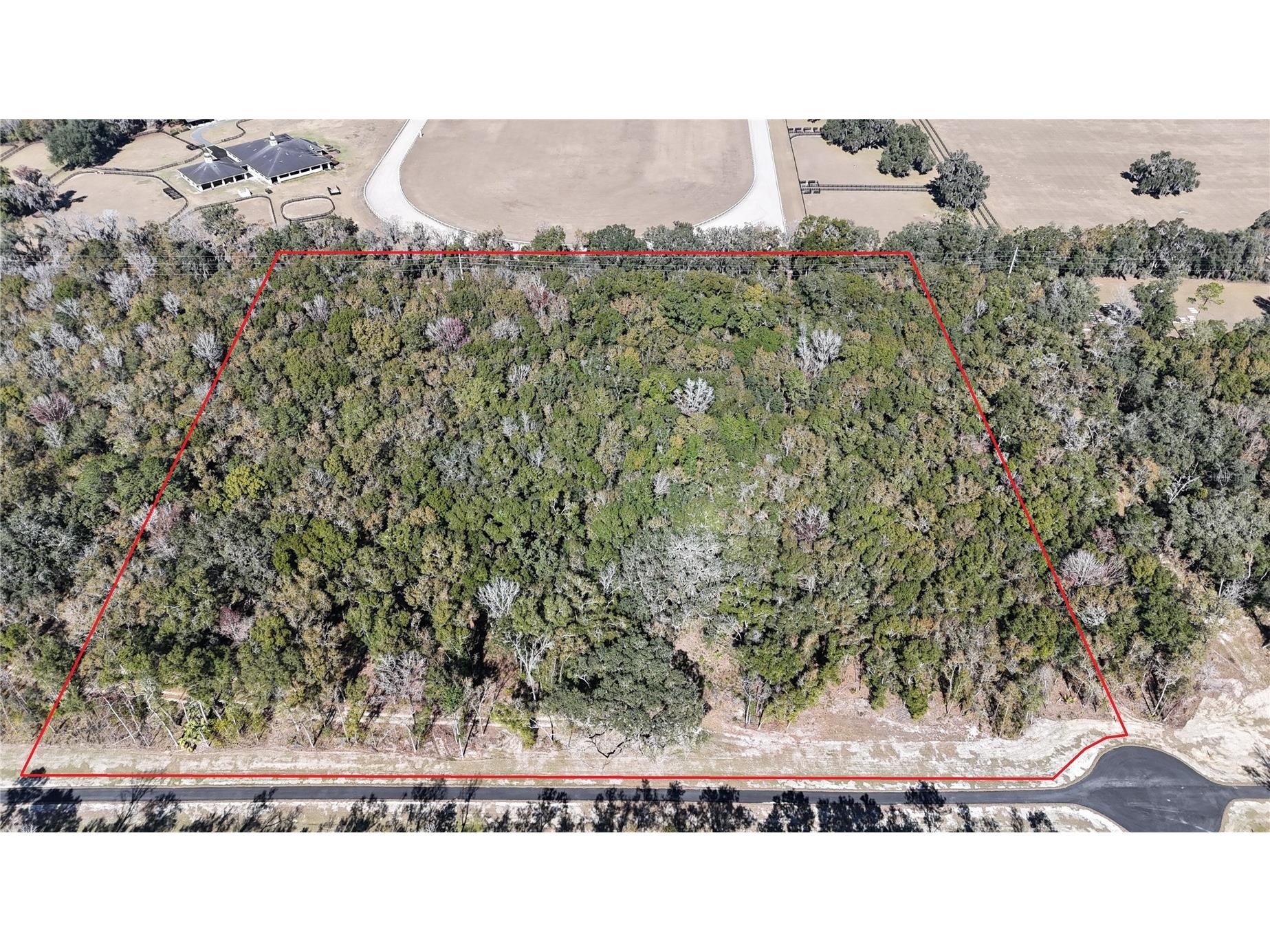 Irvine Acres #5 (13ac) W Hwy 318 Reddick FL 32686 OM726270 image8
