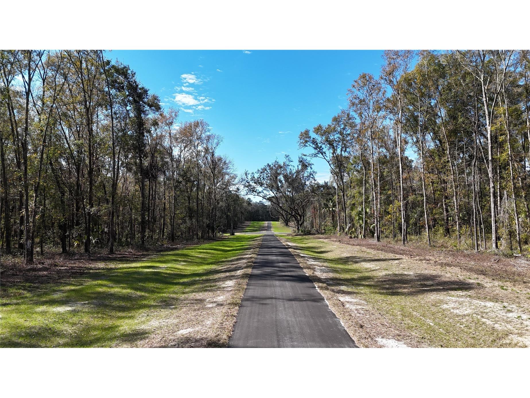 Irvine Acres #5 (13ac) W Hwy 318 Reddick FL 32686 OM726270 image9