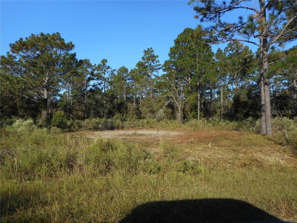 L 12 SW Big Tree Road Dunnellon FL 34431 OM647434 image1