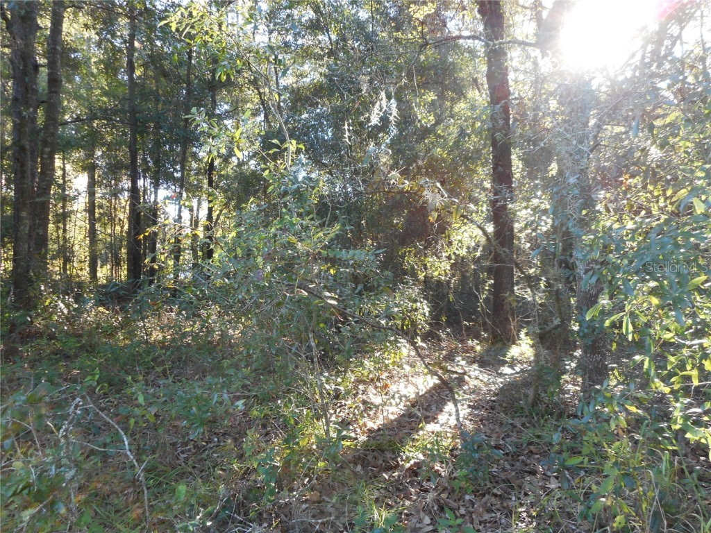 L 22 SW 192nd Court Dunnellon FL 34432 OM629687 image1