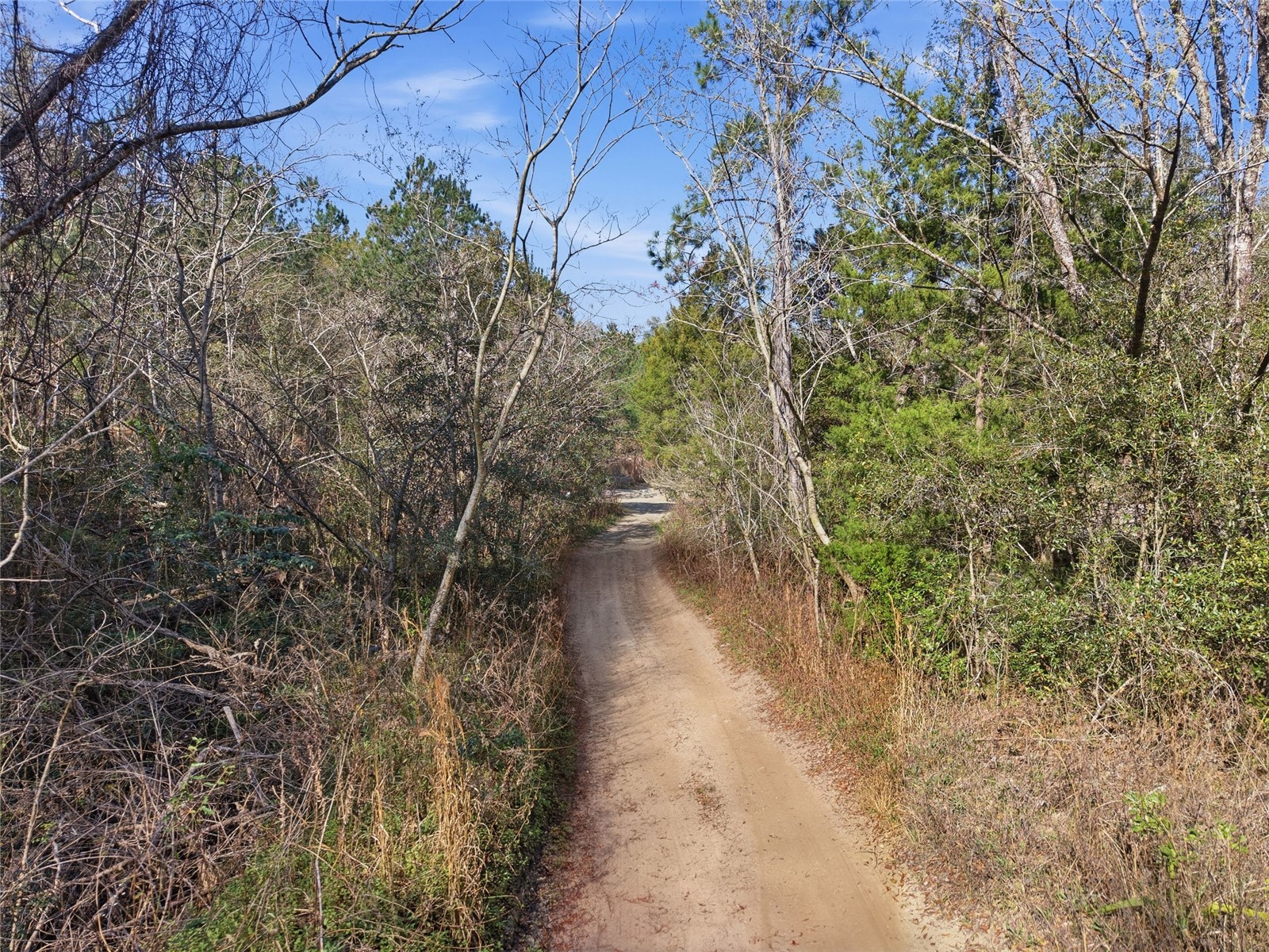 LOT 028 NE 164th Lane Citra FL 32113 OM719221 image27