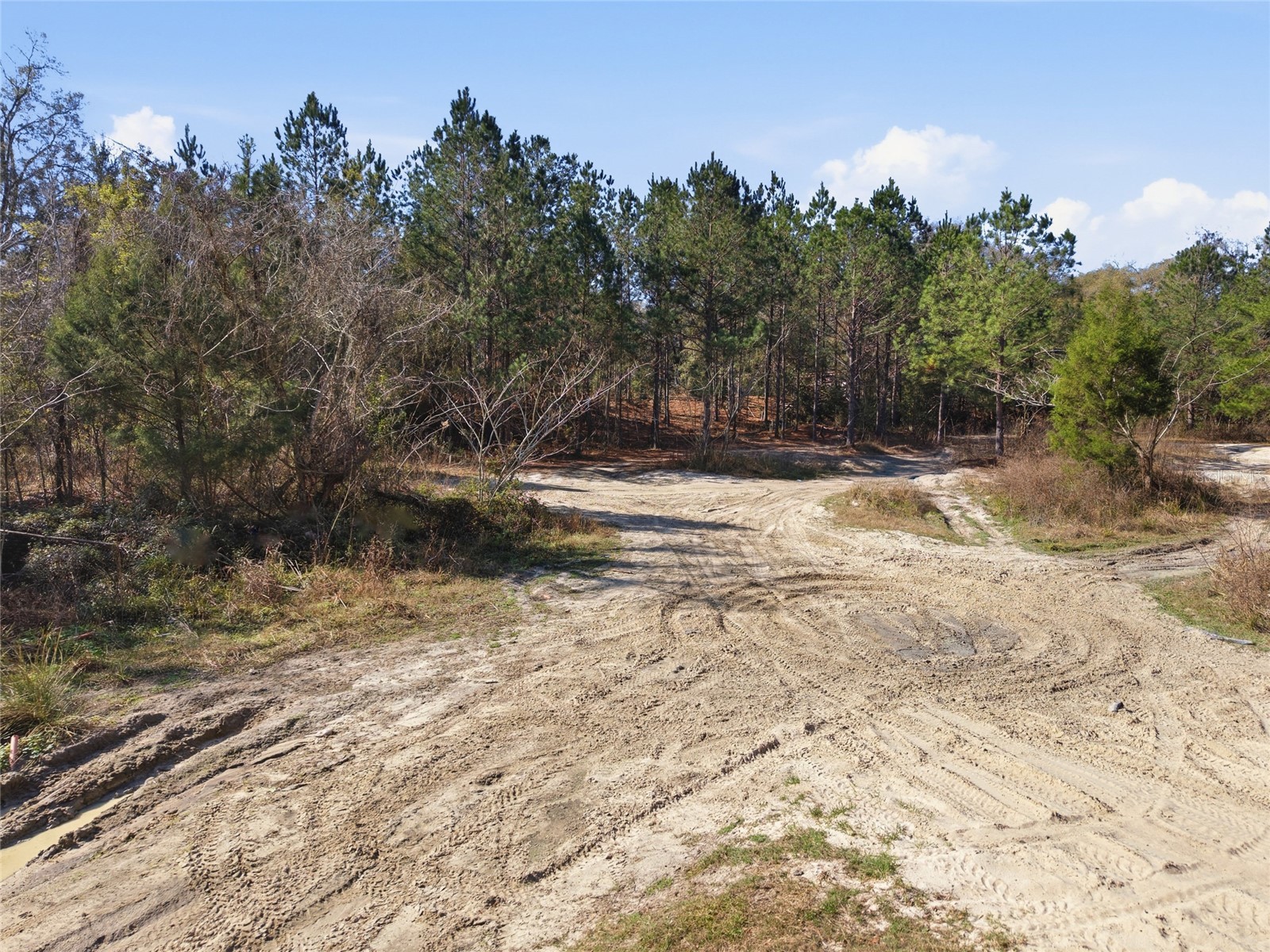 LOT 028 NE 164th Lane Citra FL 32113 OM719221 image28