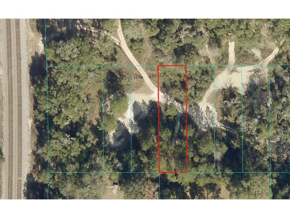 LOT 028 NE 164th Lane Citra FL 32113 OM719221 image3