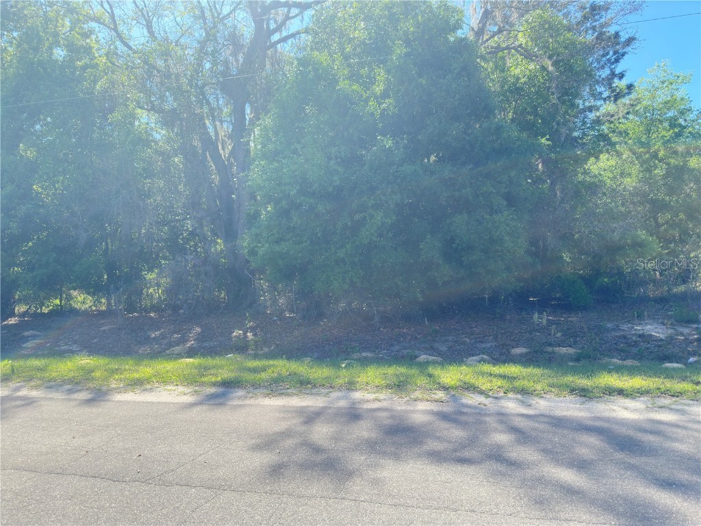 LOT 09 Malauka Loop Ocklawaha FL 32179 OM674752 image1