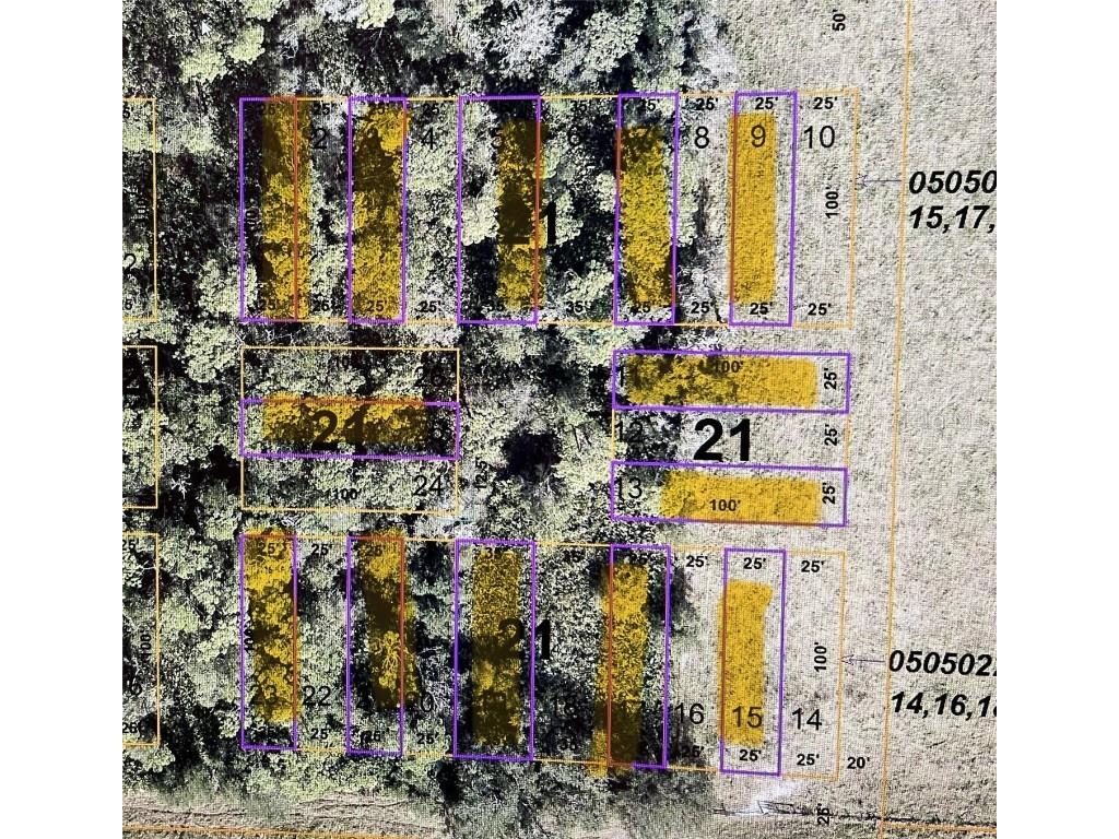LOT#1.3.5.7.9.11.13.15.17 La Paloma Road Myakka City FL 34251 N6132887 image1