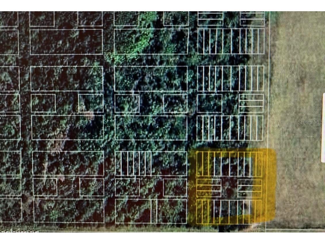 LOT#1.3.5.7.9.11.13.15.17 La Paloma Road Myakka City FL 34251 N6132887 image2