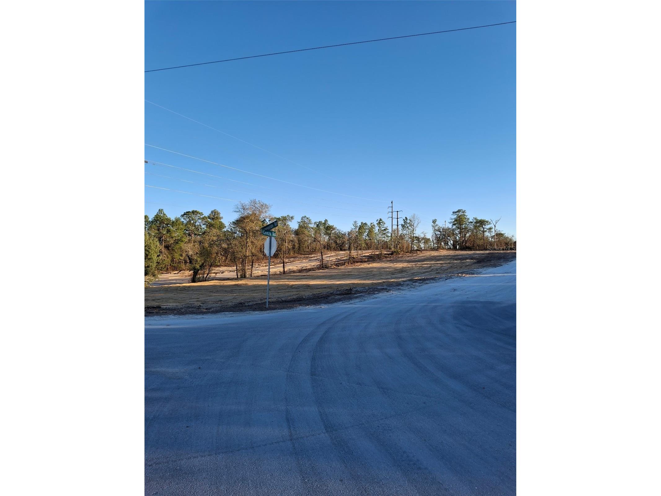 LOT 1 Barnevelde Road Weeki Wachee FL 34614 TB8476560 image1