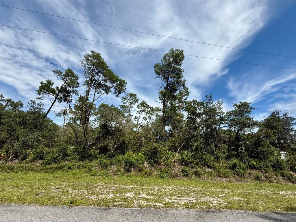 LOT 1 Dahlia Street Eustis FL 32736 - LAKE NORRIS G5099916 image1