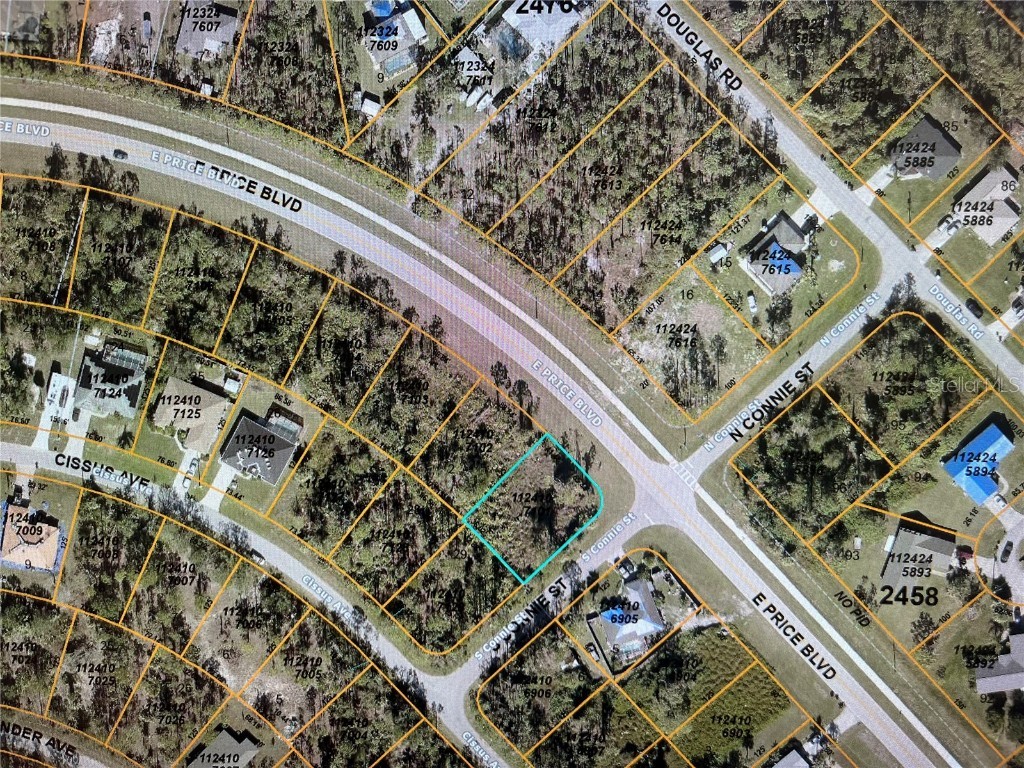 LOT 1 E Price Boulevard North Port FL 34288 N6129873 image1