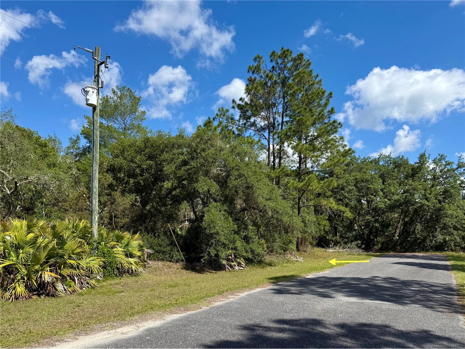 LOT 1 Jericho Trail Eustis FL 32736 - LAKE NORRIS G5112528 image1