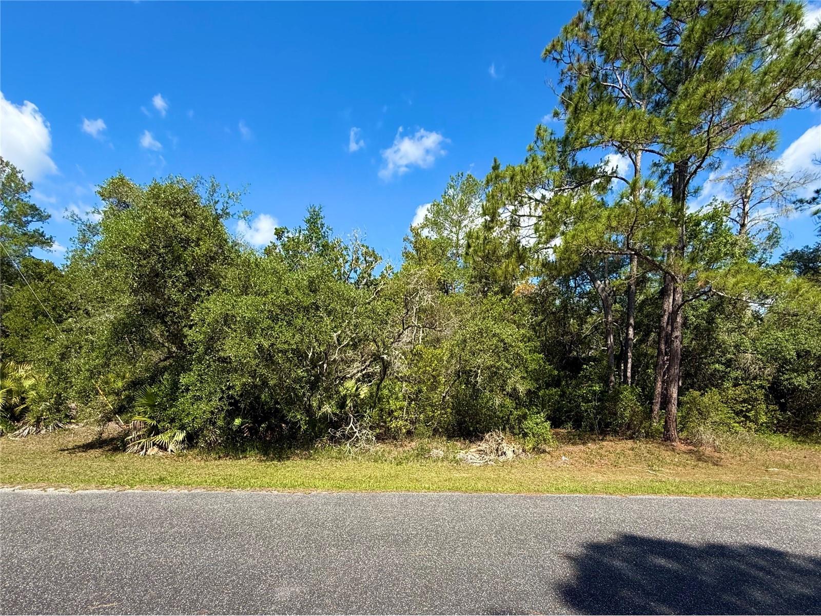 LOT 1 Jericho Trail Eustis FL 32736 - LAKE NORRIS G5112528 image10