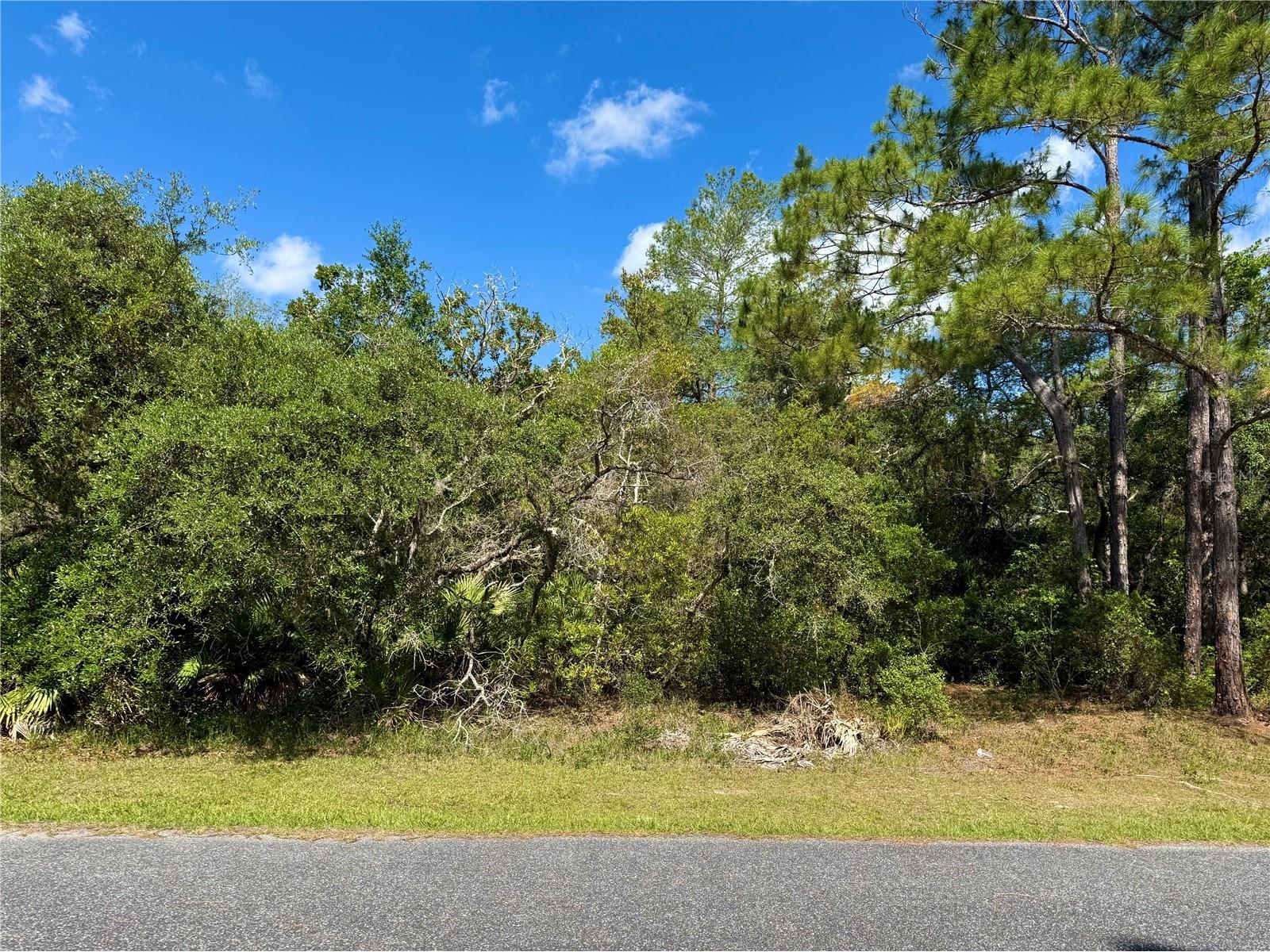 LOT 1 Jericho Trail Eustis FL 32736 - LAKE NORRIS G5112528 image11