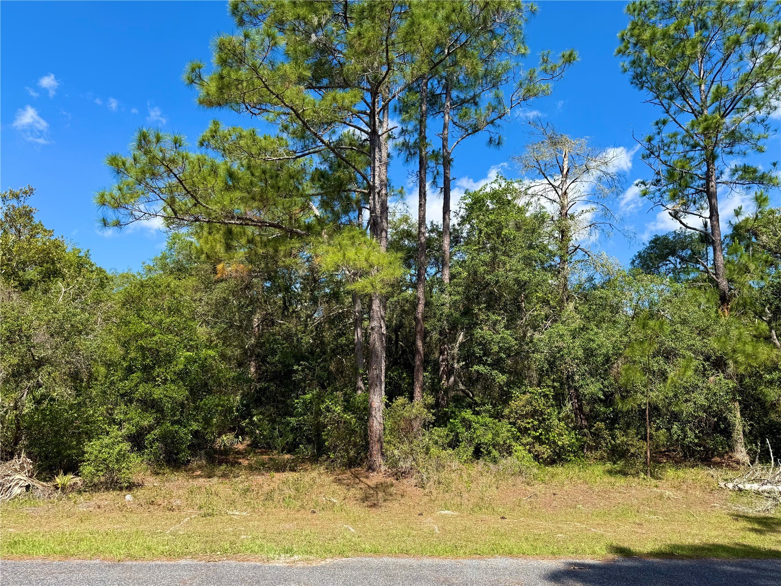 LOT 1 Jericho Trail Eustis FL 32736 - LAKE NORRIS G5112528 image12