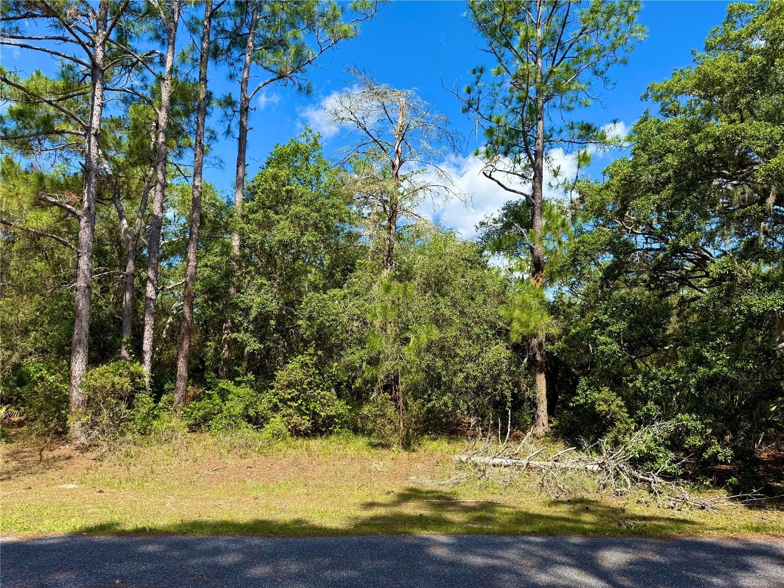 LOT 1 Jericho Trail Eustis FL 32736 - LAKE NORRIS G5112528 image13