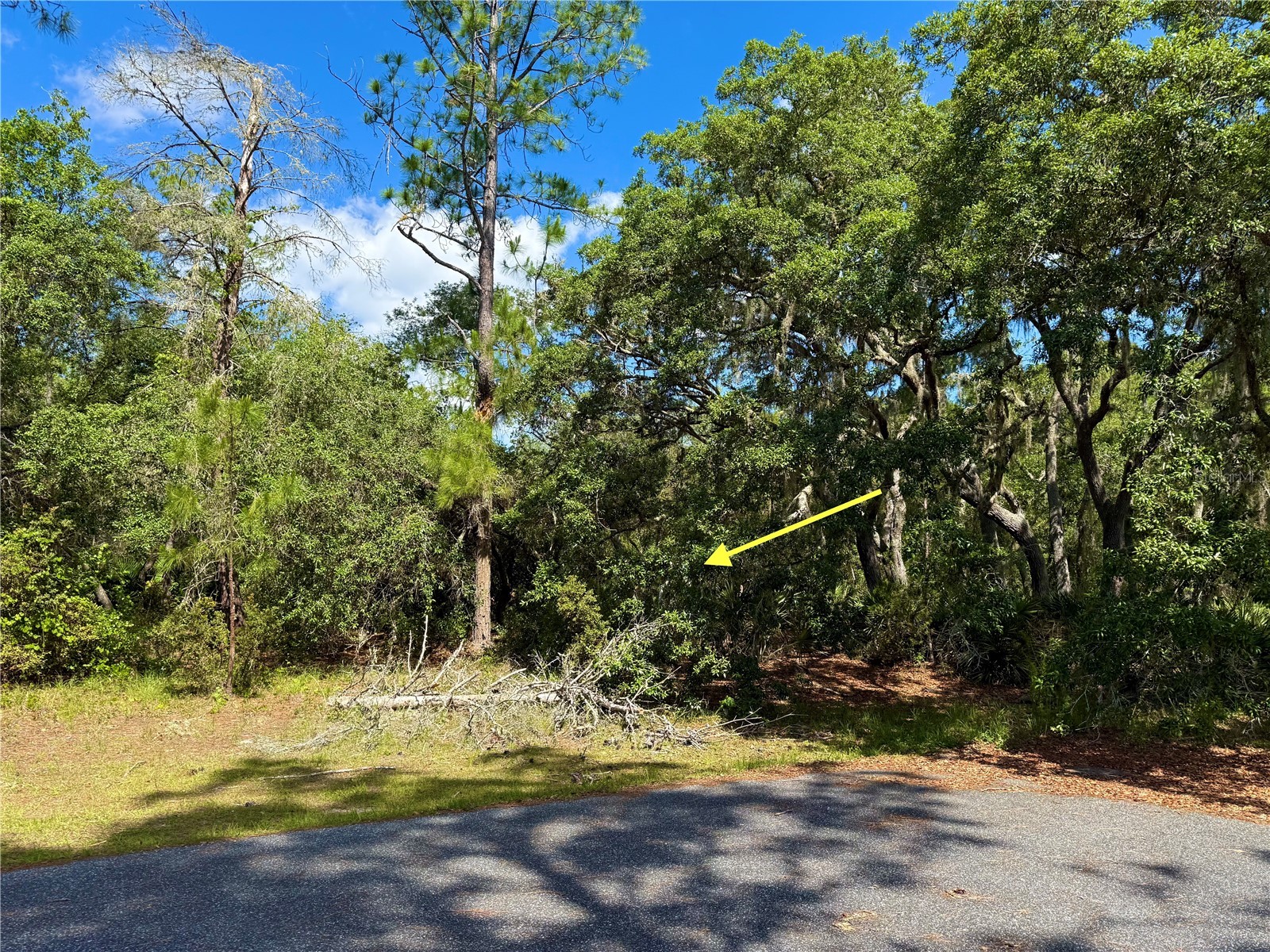 LOT 1 Jericho Trail Eustis FL 32736 - LAKE NORRIS G5112528 image14