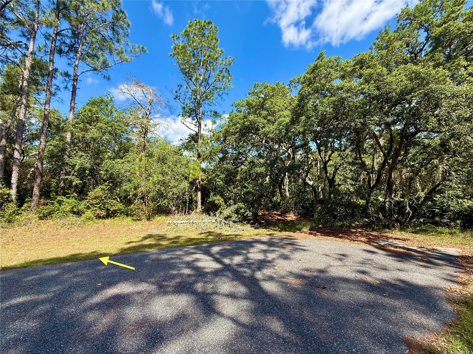LOT 1 Jericho Trail Eustis FL 32736 - LAKE NORRIS G5112528 image15