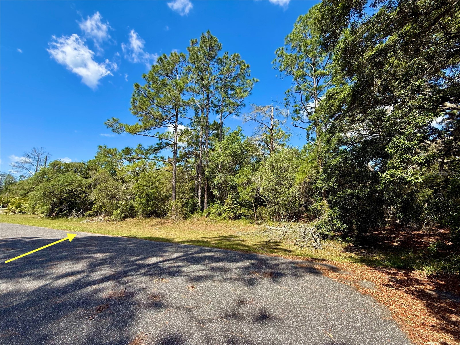 LOT 1 Jericho Trail Eustis FL 32736 - LAKE NORRIS G5112528 image16
