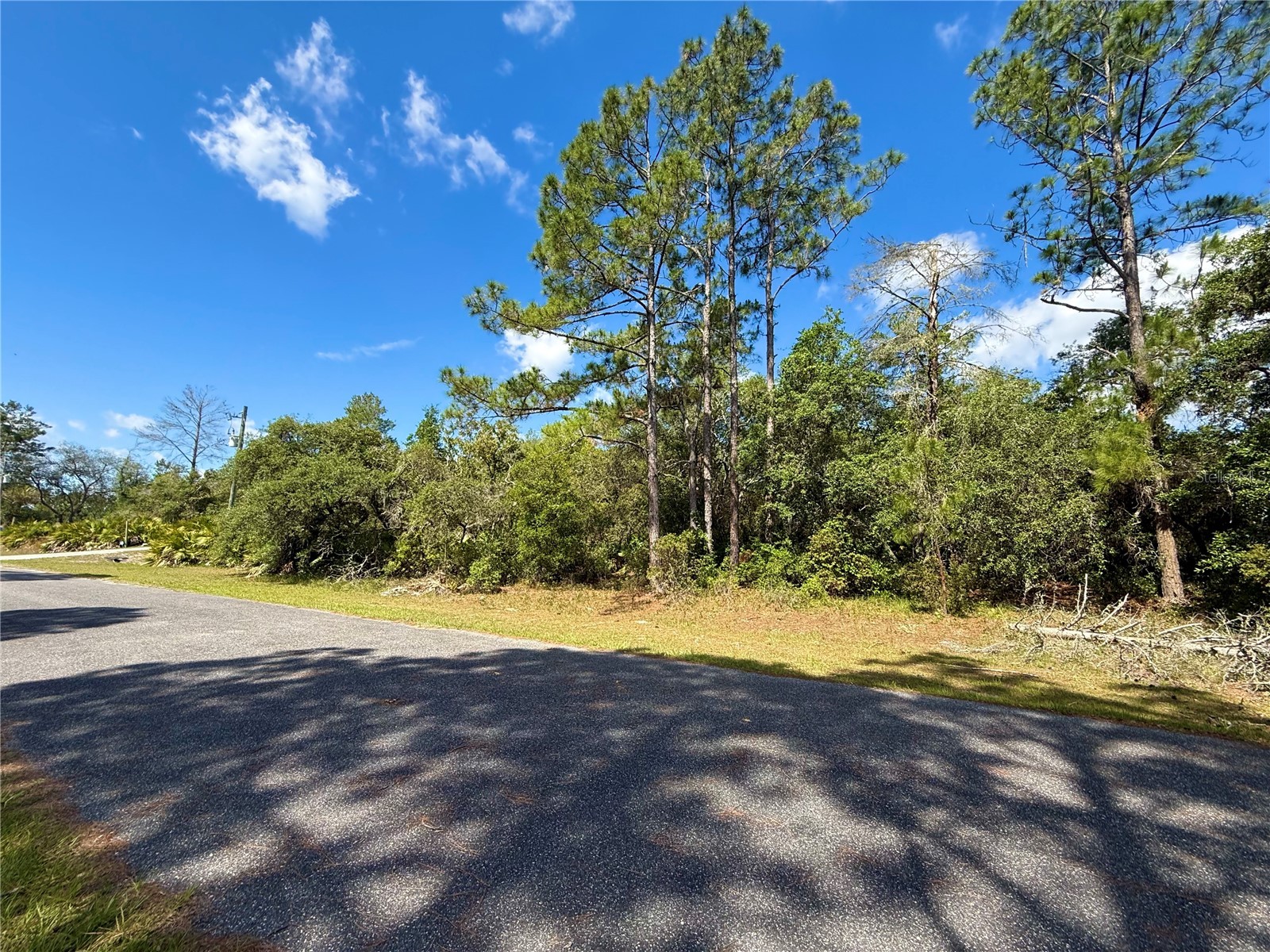 LOT 1 Jericho Trail Eustis FL 32736 - LAKE NORRIS G5112528 image17