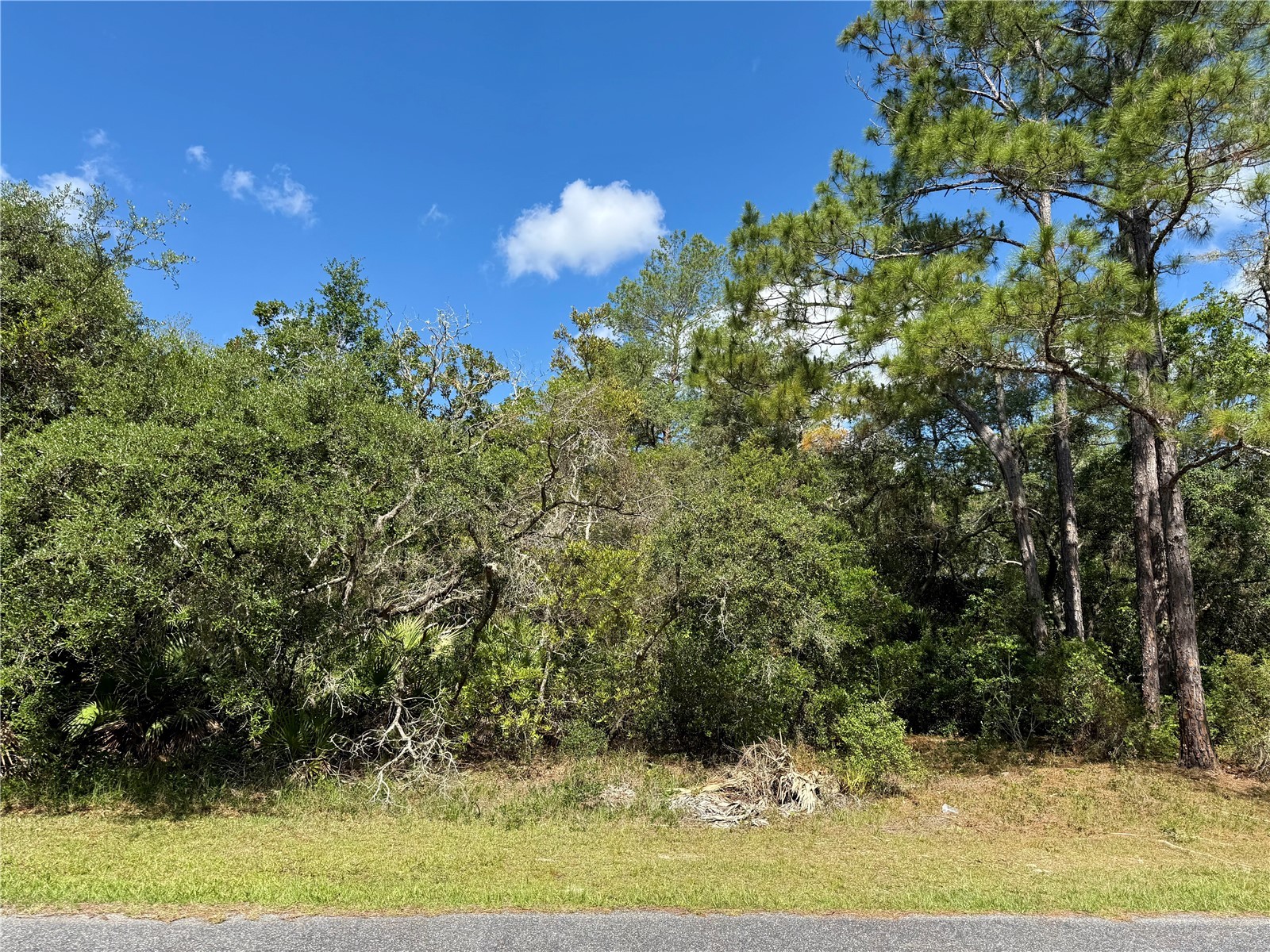 LOT 1 Jericho Trail Eustis FL 32736 - LAKE NORRIS G5112528 image18
