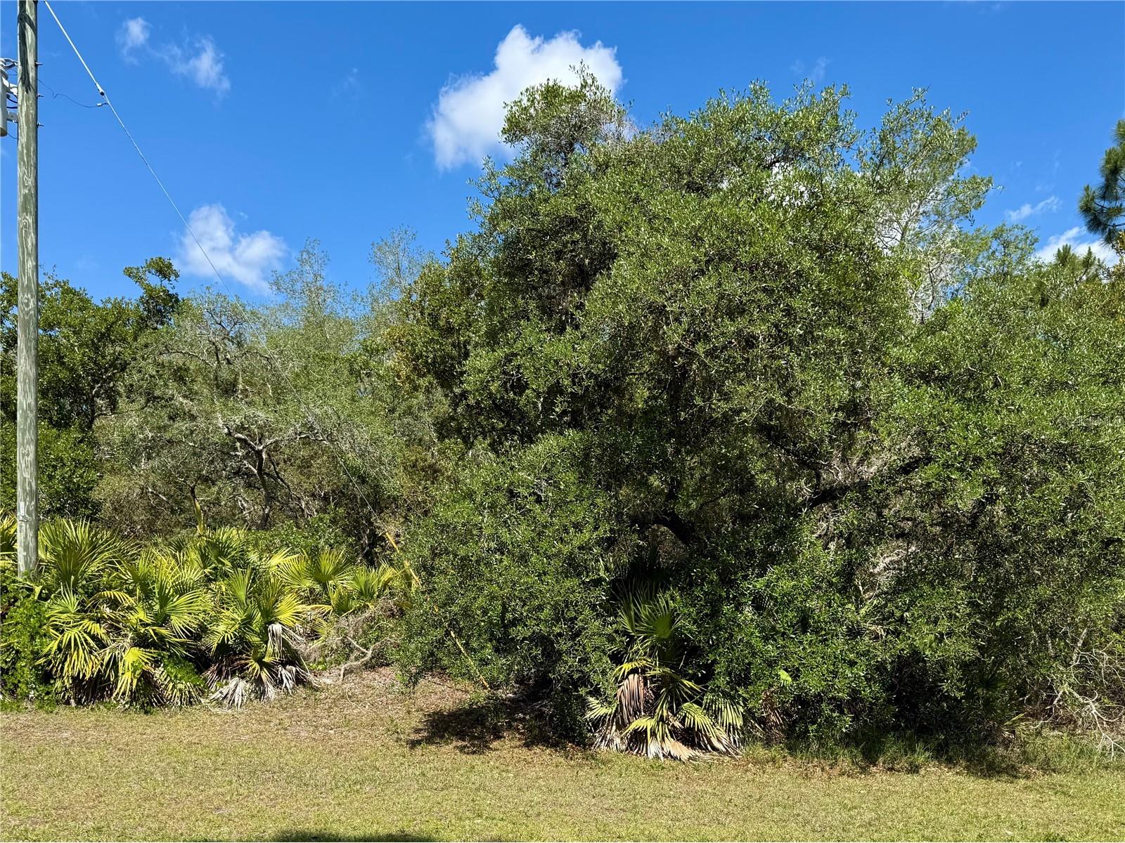 LOT 1 Jericho Trail Eustis FL 32736 - LAKE NORRIS G5112528 image19