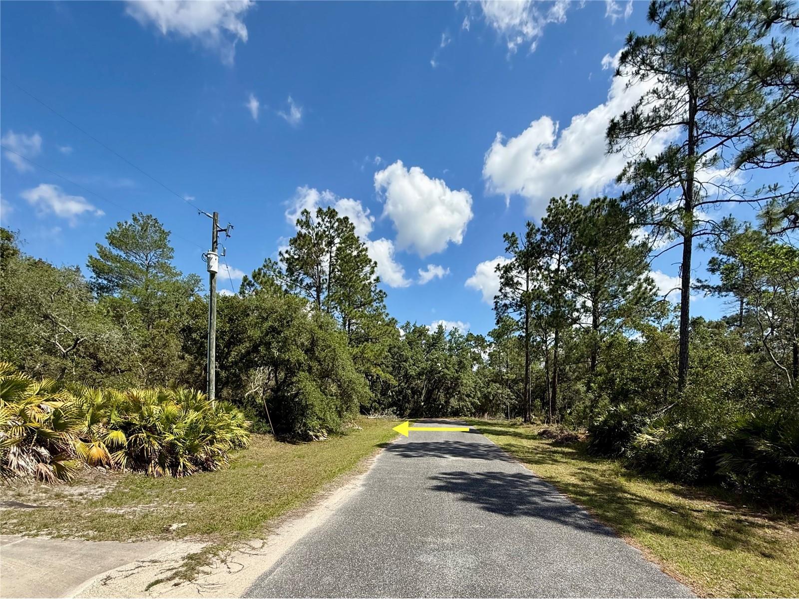 LOT 1 Jericho Trail Eustis FL 32736 - LAKE NORRIS G5112528 image20