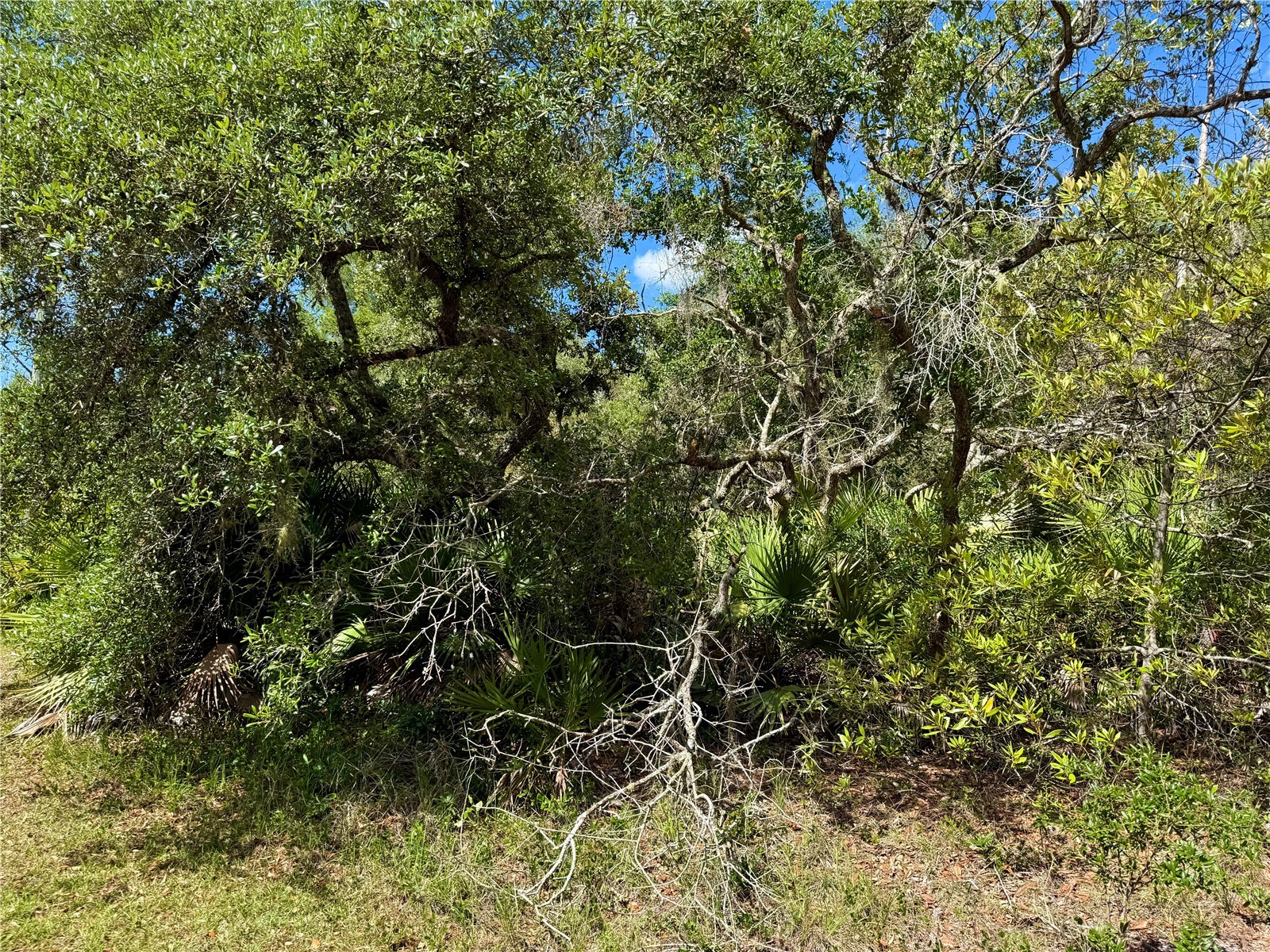 LOT 1 Jericho Trail Eustis FL 32736 - LAKE NORRIS G5112528 image21
