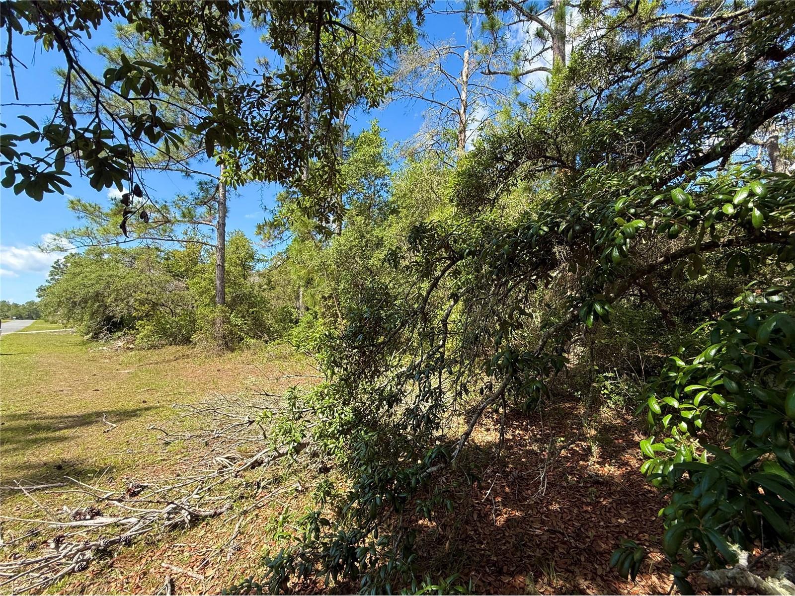 LOT 1 Jericho Trail Eustis FL 32736 - LAKE NORRIS G5112528 image24