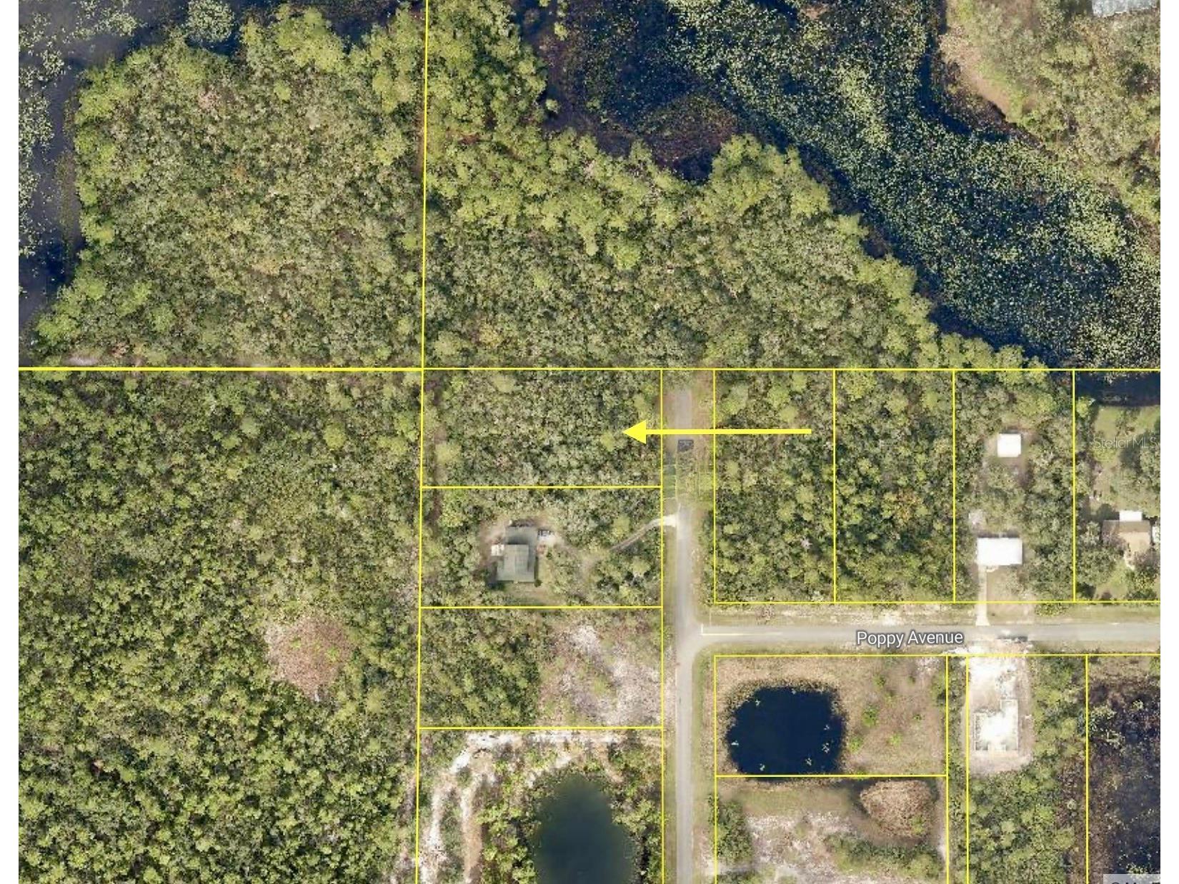 LOT 1 Jericho Trail Eustis FL 32736 - LAKE NORRIS G5112528 image25