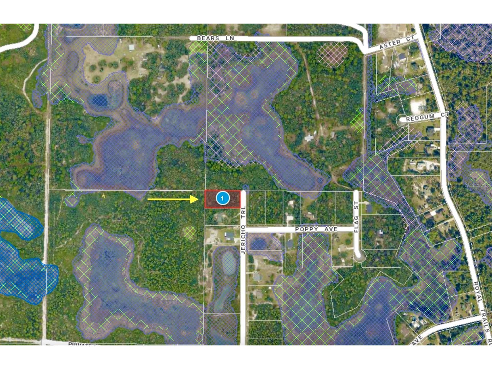 LOT 1 Jericho Trail Eustis FL 32736 - LAKE NORRIS G5112528 image26