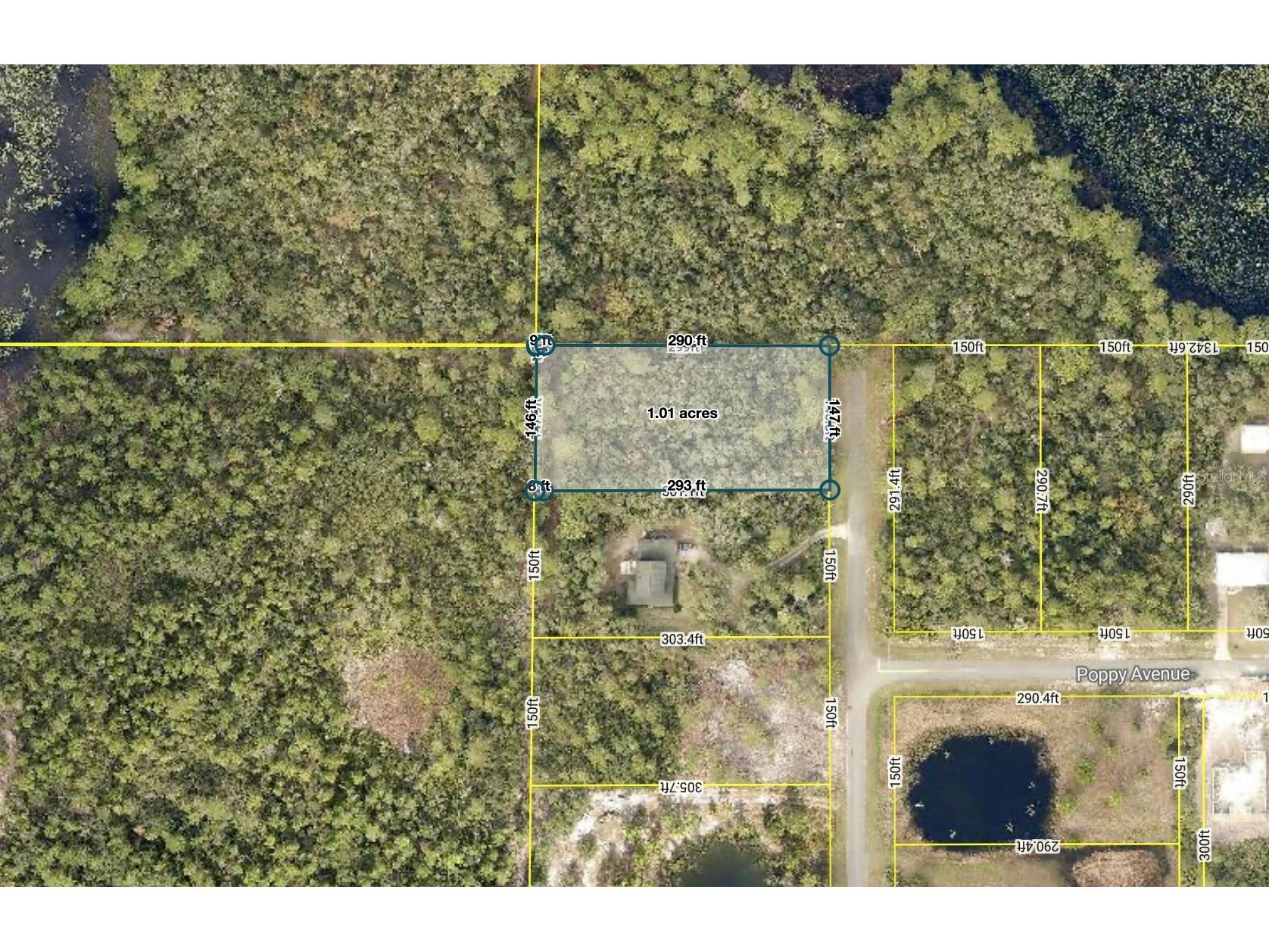 LOT 1 Jericho Trail Eustis FL 32736 - LAKE NORRIS G5112528 image27