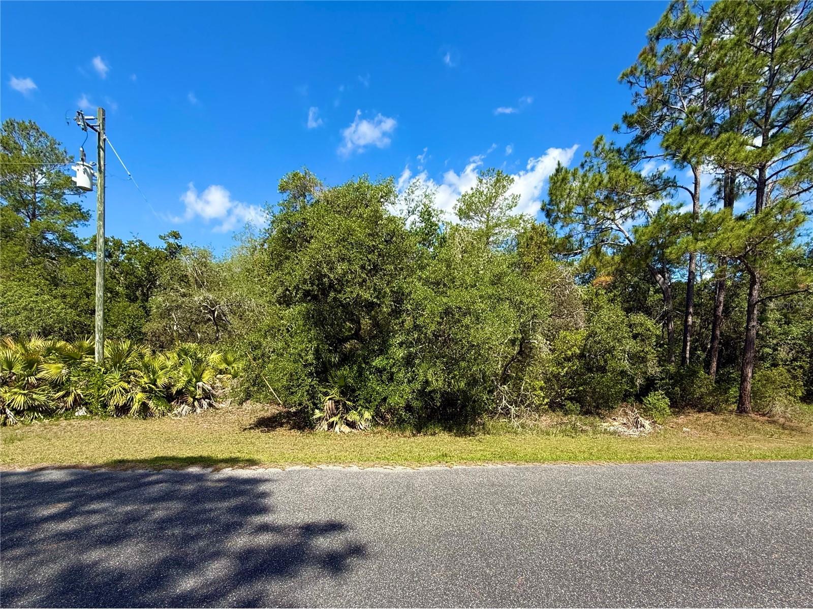 LOT 1 Jericho Trail Eustis FL 32736 - LAKE NORRIS G5112528 image3