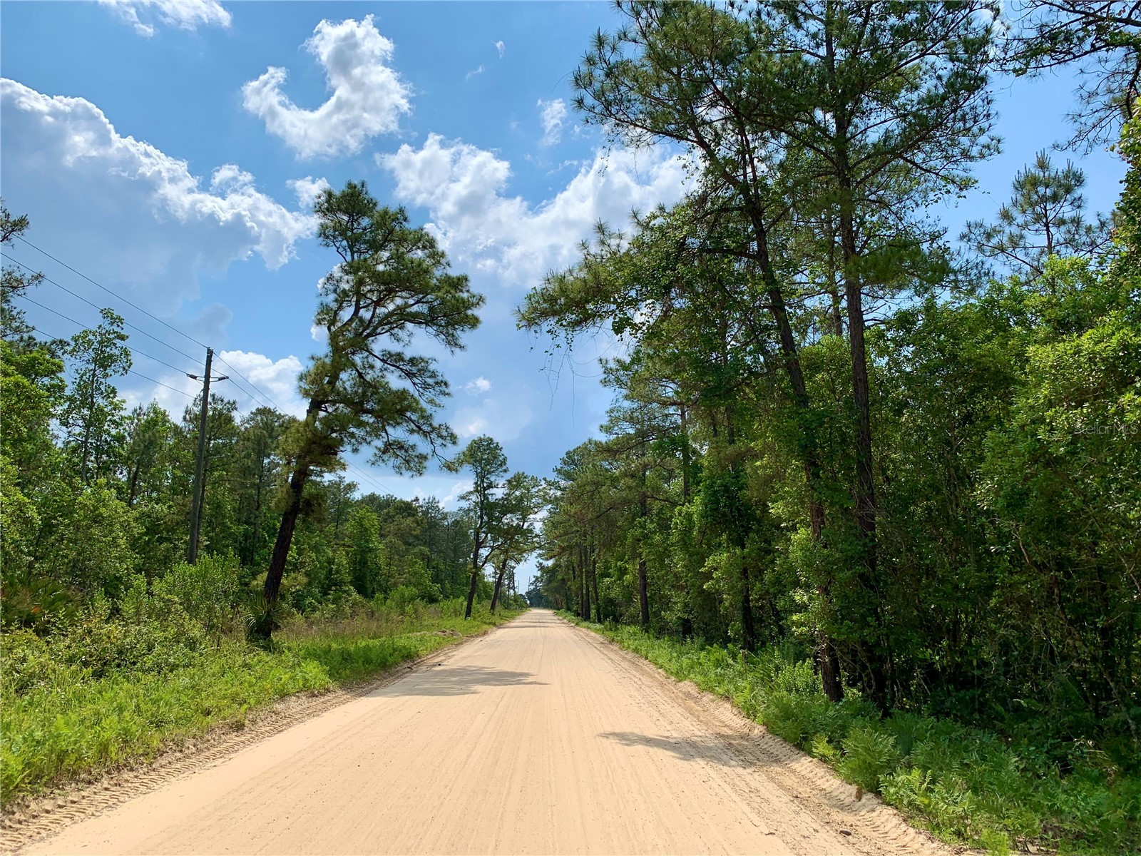 LOT 1 Jericho Trail Eustis FL 32736 - LAKE NORRIS G5112528 image36