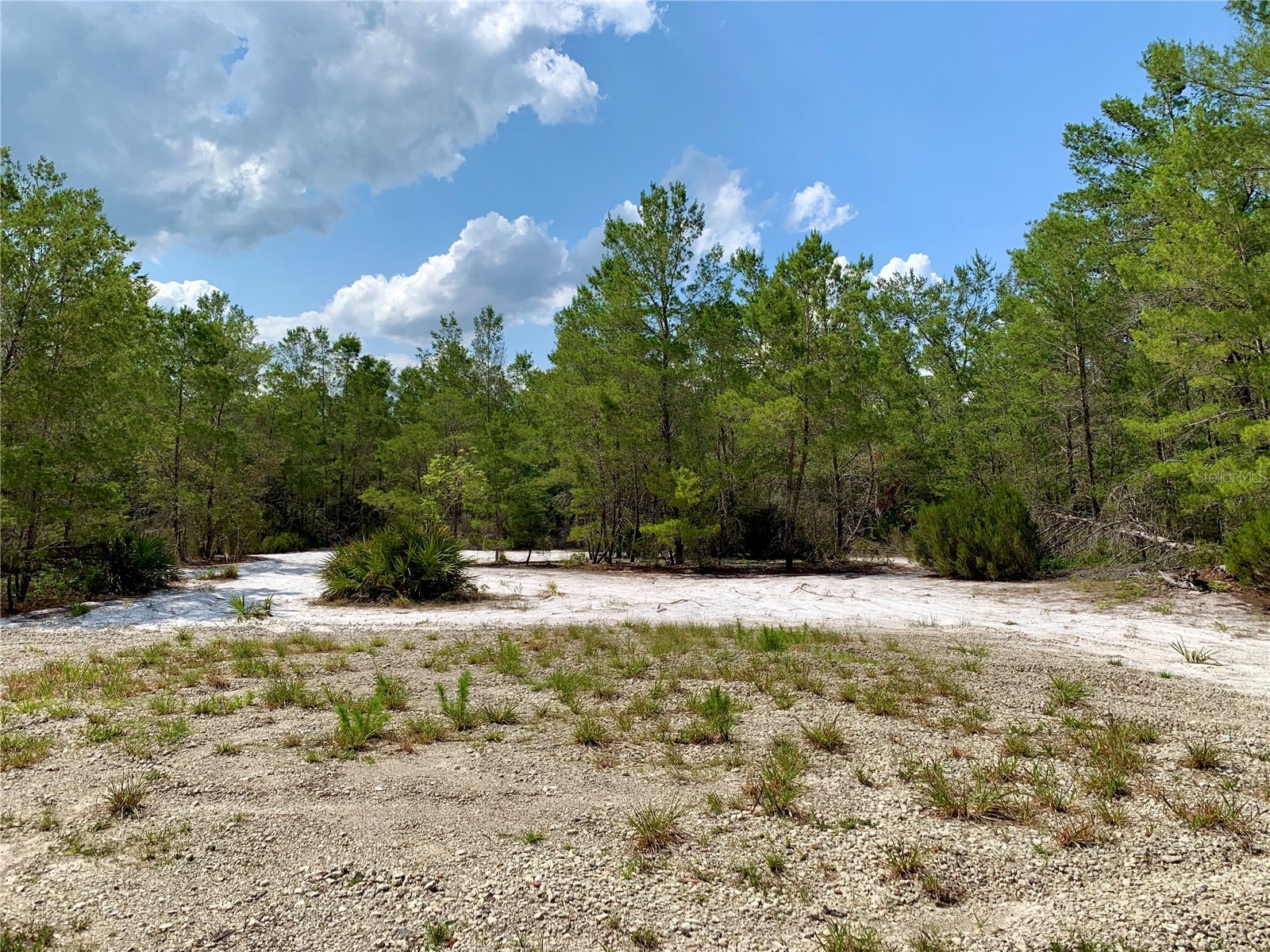 LOT 1 Jericho Trail Eustis FL 32736 - LAKE NORRIS G5112528 image39