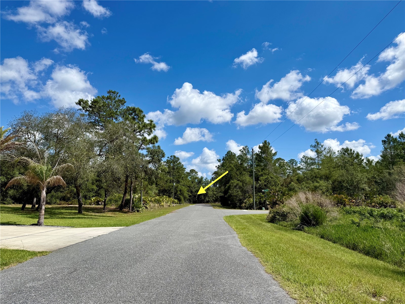 LOT 1 Jericho Trail Eustis FL 32736 - LAKE NORRIS G5112528 image6