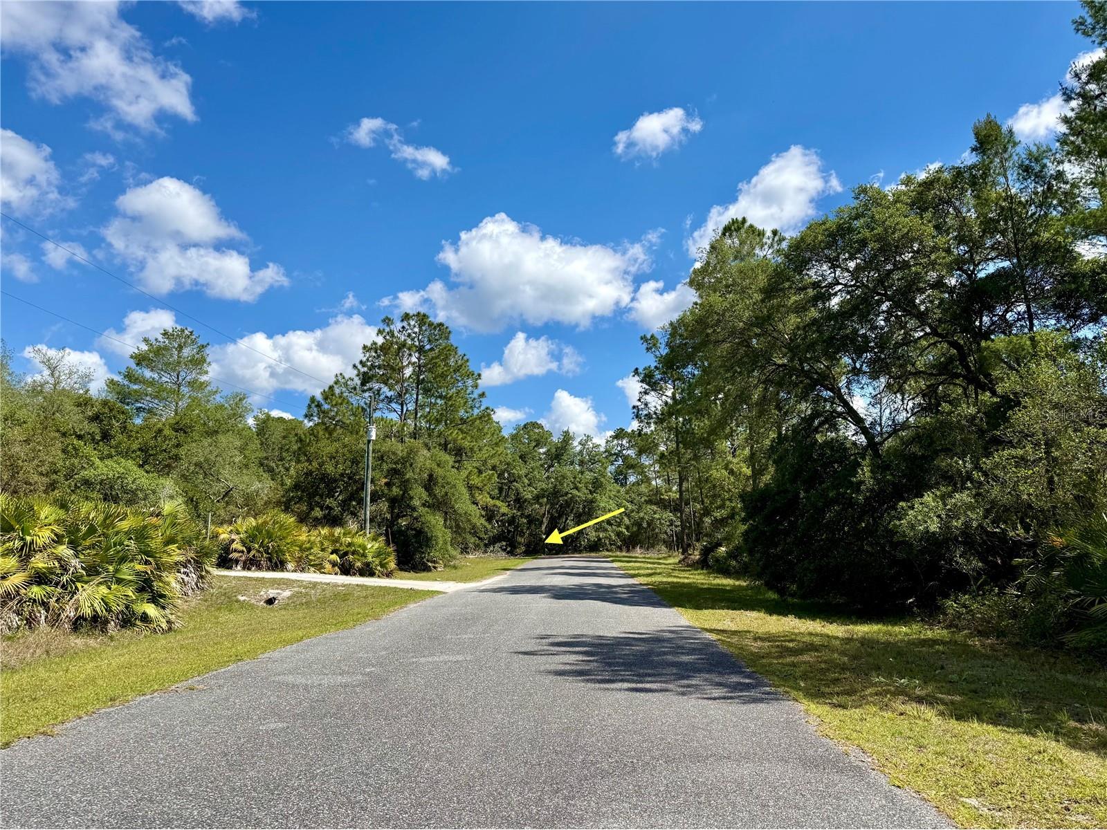 LOT 1 Jericho Trail Eustis FL 32736 - LAKE NORRIS G5112528 image7
