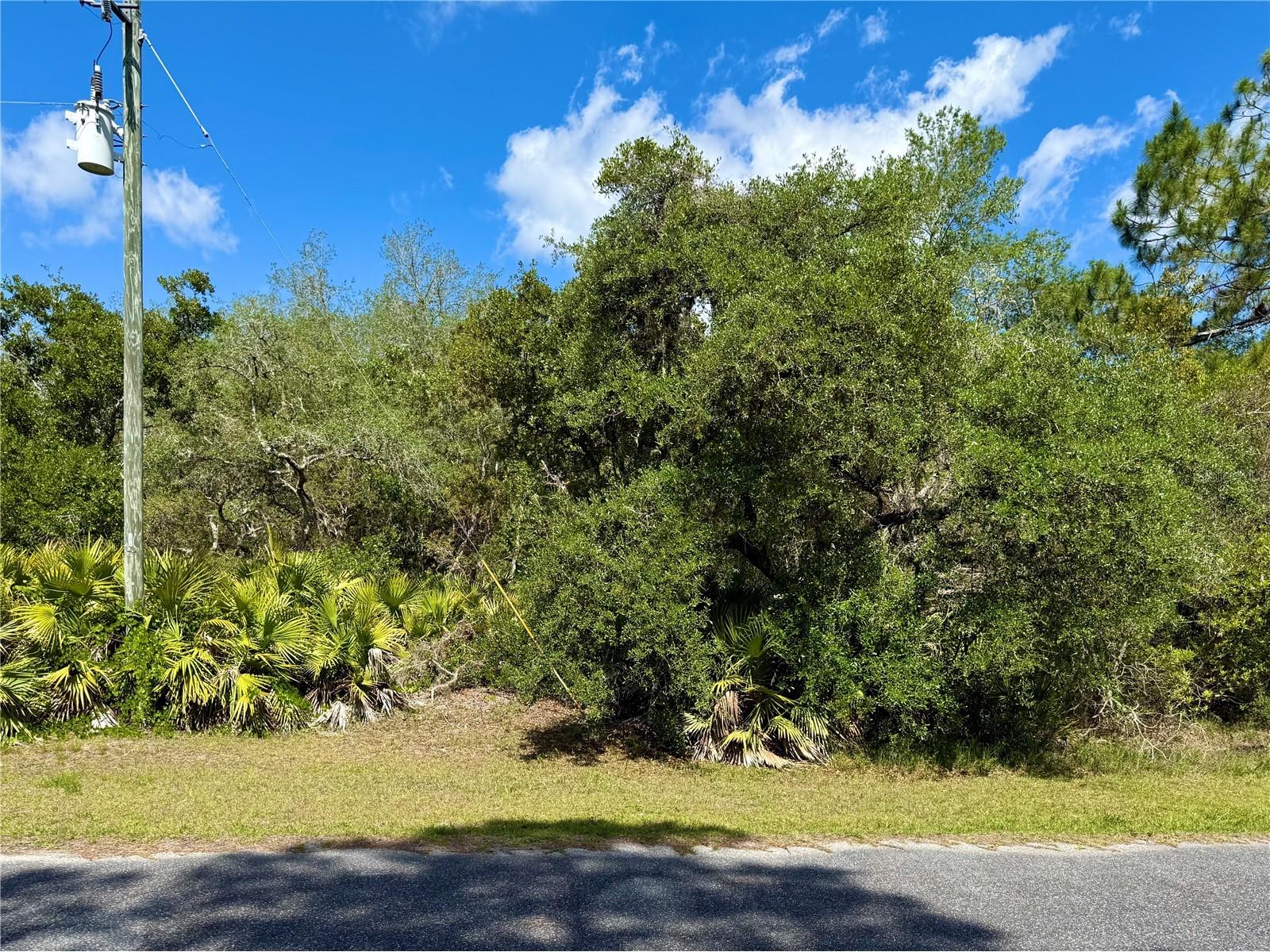 LOT 1 Jericho Trail Eustis FL 32736 - LAKE NORRIS G5112528 image8