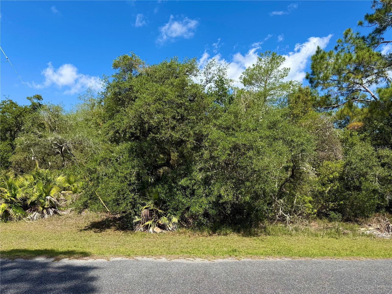 LOT 1 Jericho Trail Eustis FL 32736 - LAKE NORRIS G5112528 image9