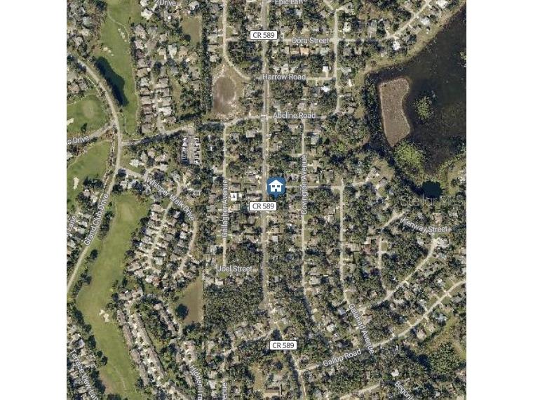Kenway Street Spring Hill FL 34608 W7883254 image3