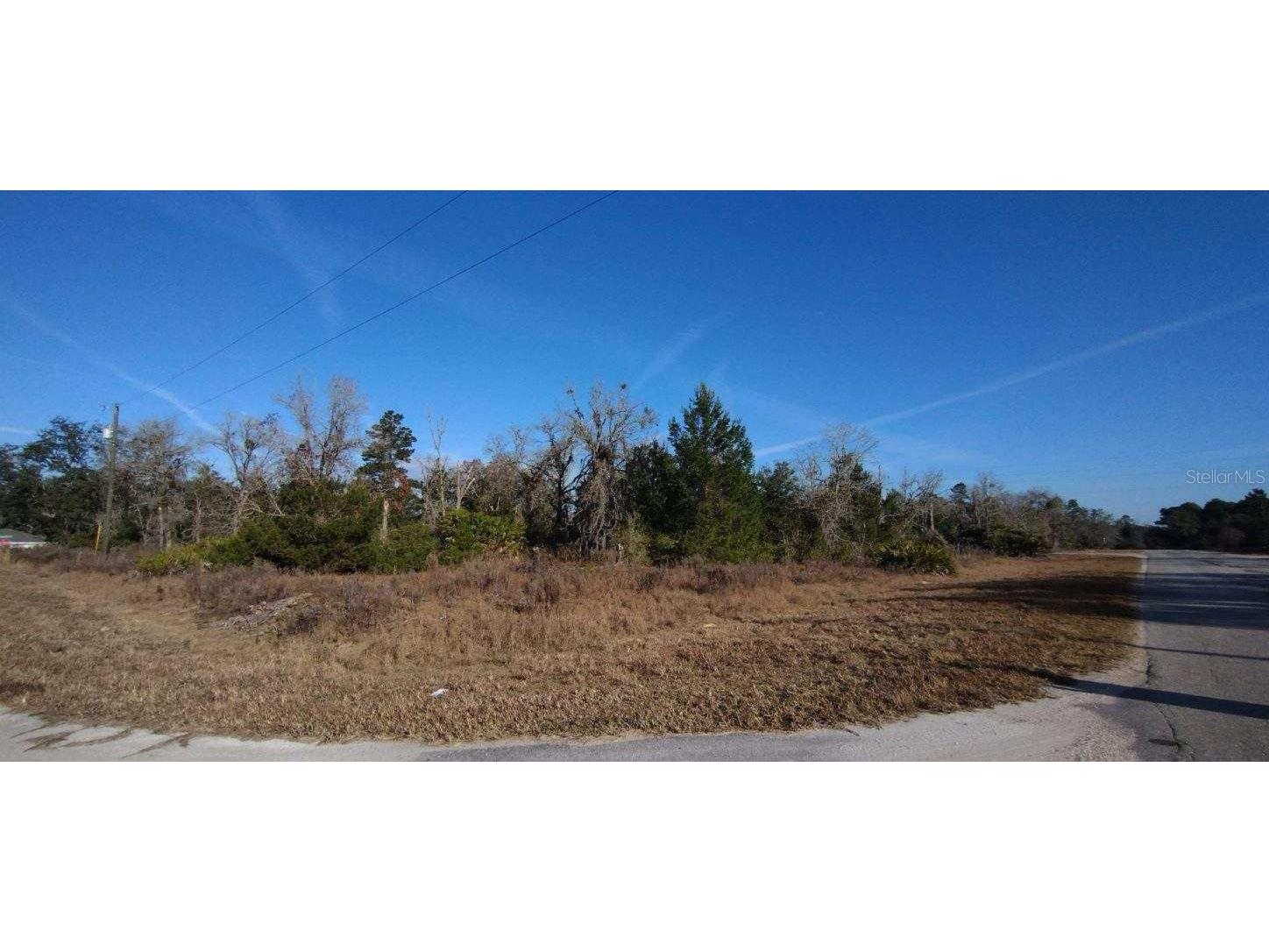 LOT 1 Maluaka Ocklawaha FL 32179 OM651736 image1