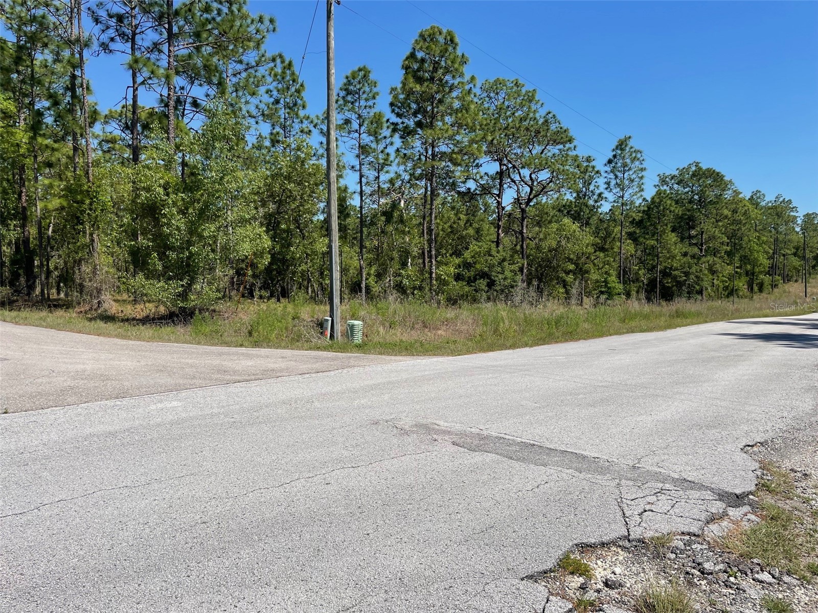 LOT 1 NW Mandrake Drive Dunnellon FL 34431 OM724797 image1