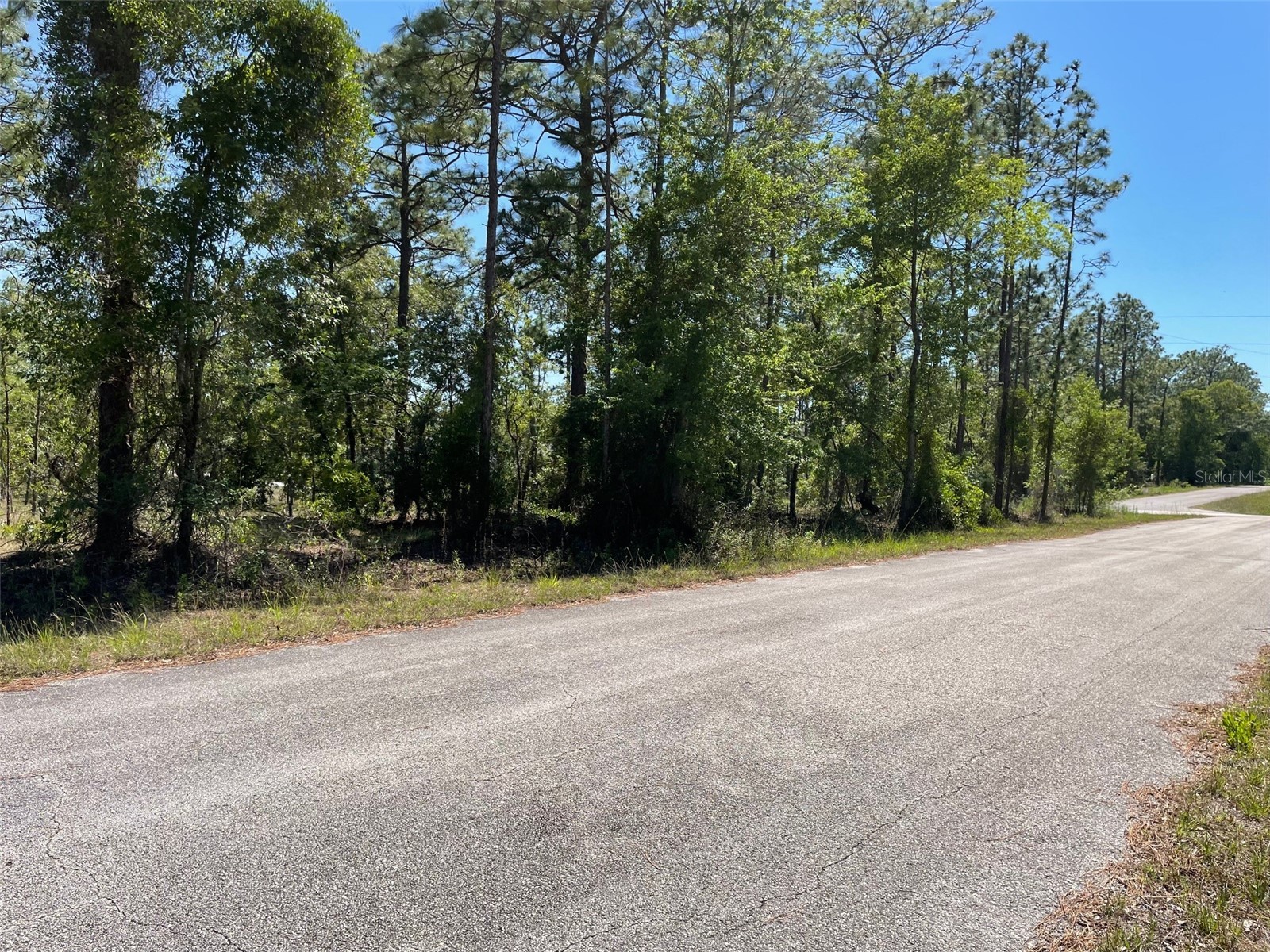 LOT 1 NW Mandrake Drive Dunnellon FL 34431 OM724797 image2