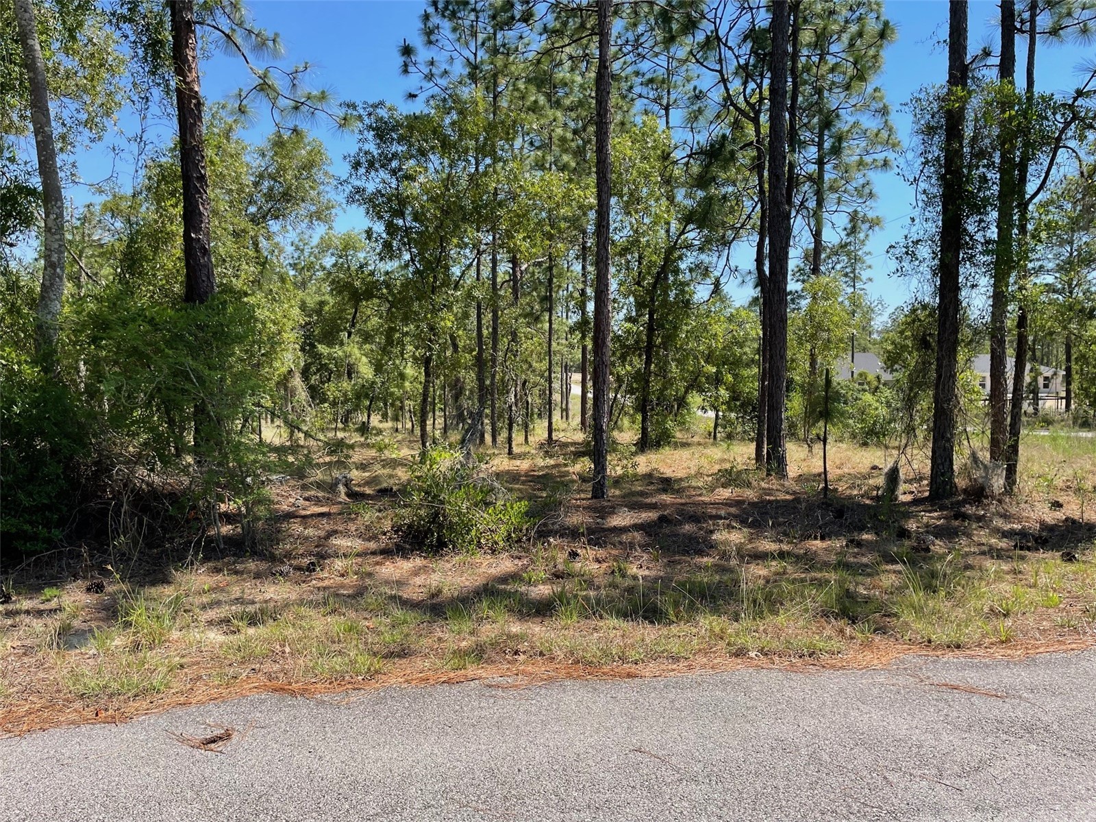 LOT 1 NW Mandrake Drive Dunnellon FL 34431 OM724797 image3