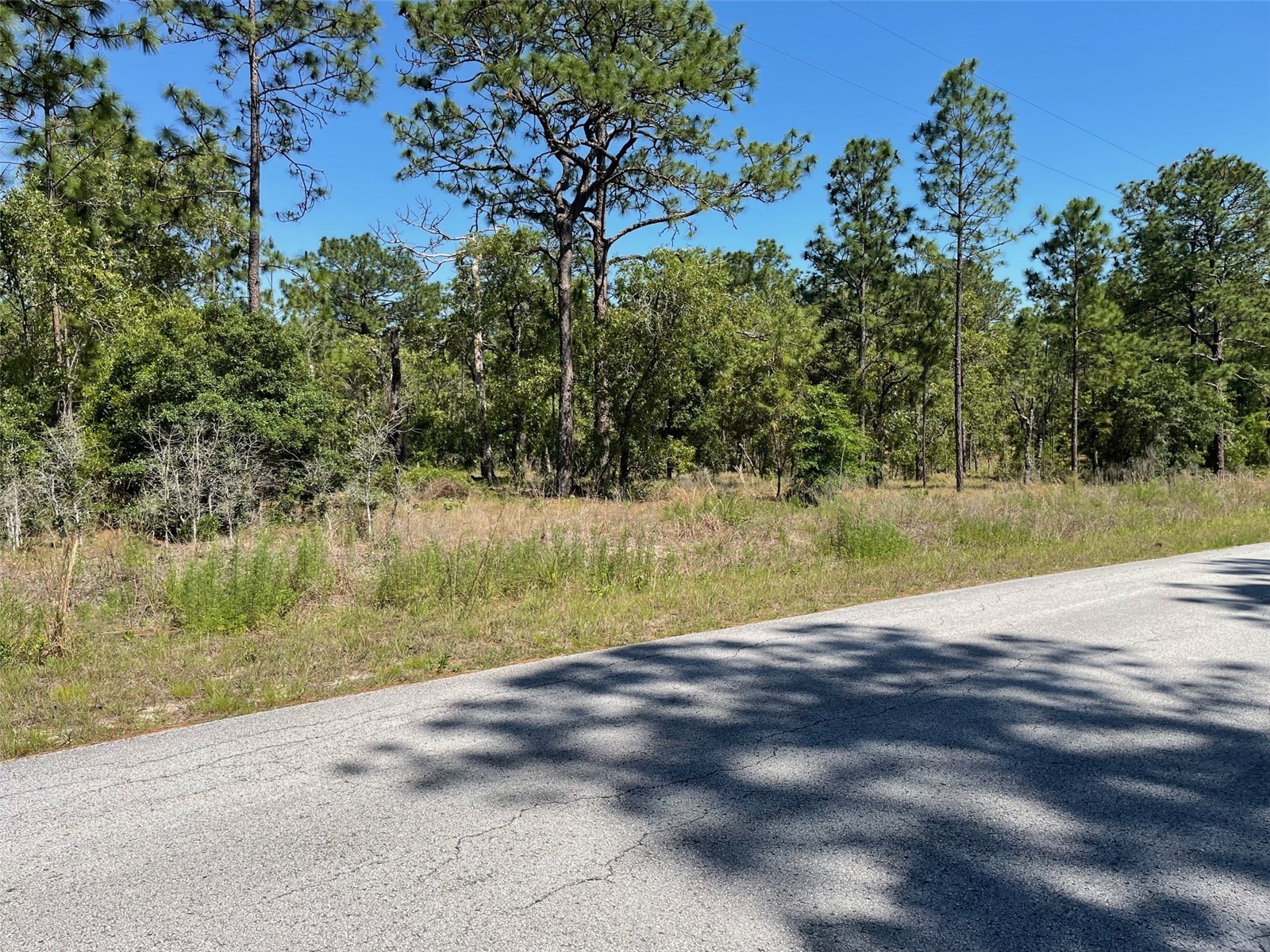 LOT 1 NW Mandrake Drive Dunnellon FL 34431 OM724797 image4