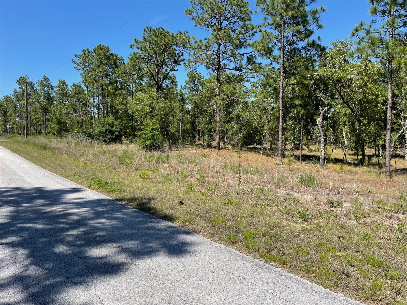 LOT 1 NW Mandrake Drive Dunnellon FL 34431 OM724797 image5