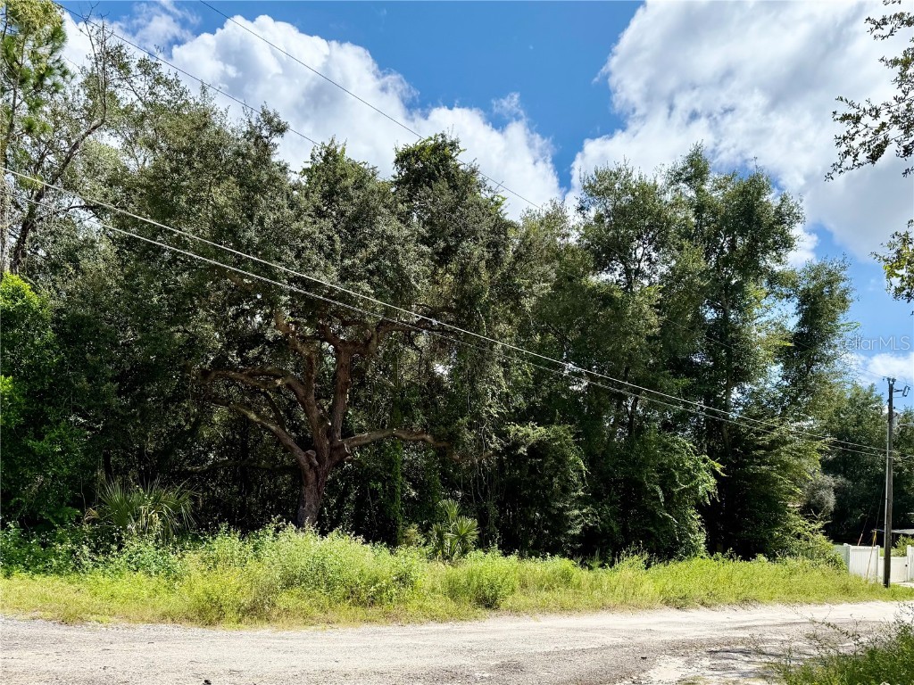 LOT 1 Palm Drive Eustis FL 32736 G5101983 image1