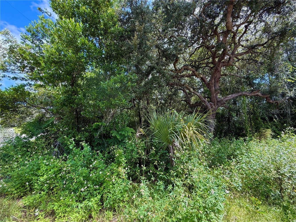 LOT 1 Palm Drive Eustis FL 32736 G5101983 image10